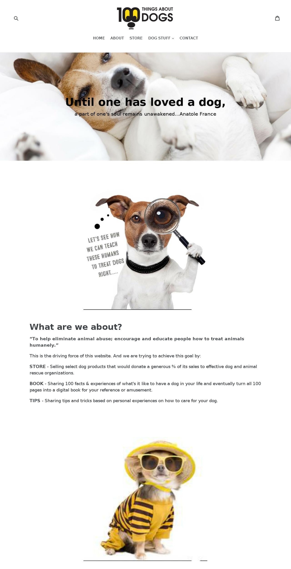 100thingsaboutdogs.com — Shopify storefront screenshot