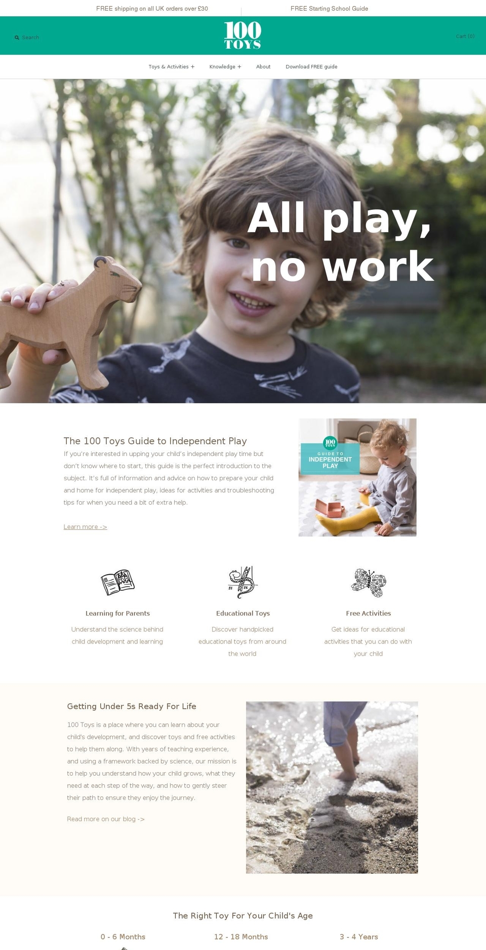 100toys.com shopify website screenshot