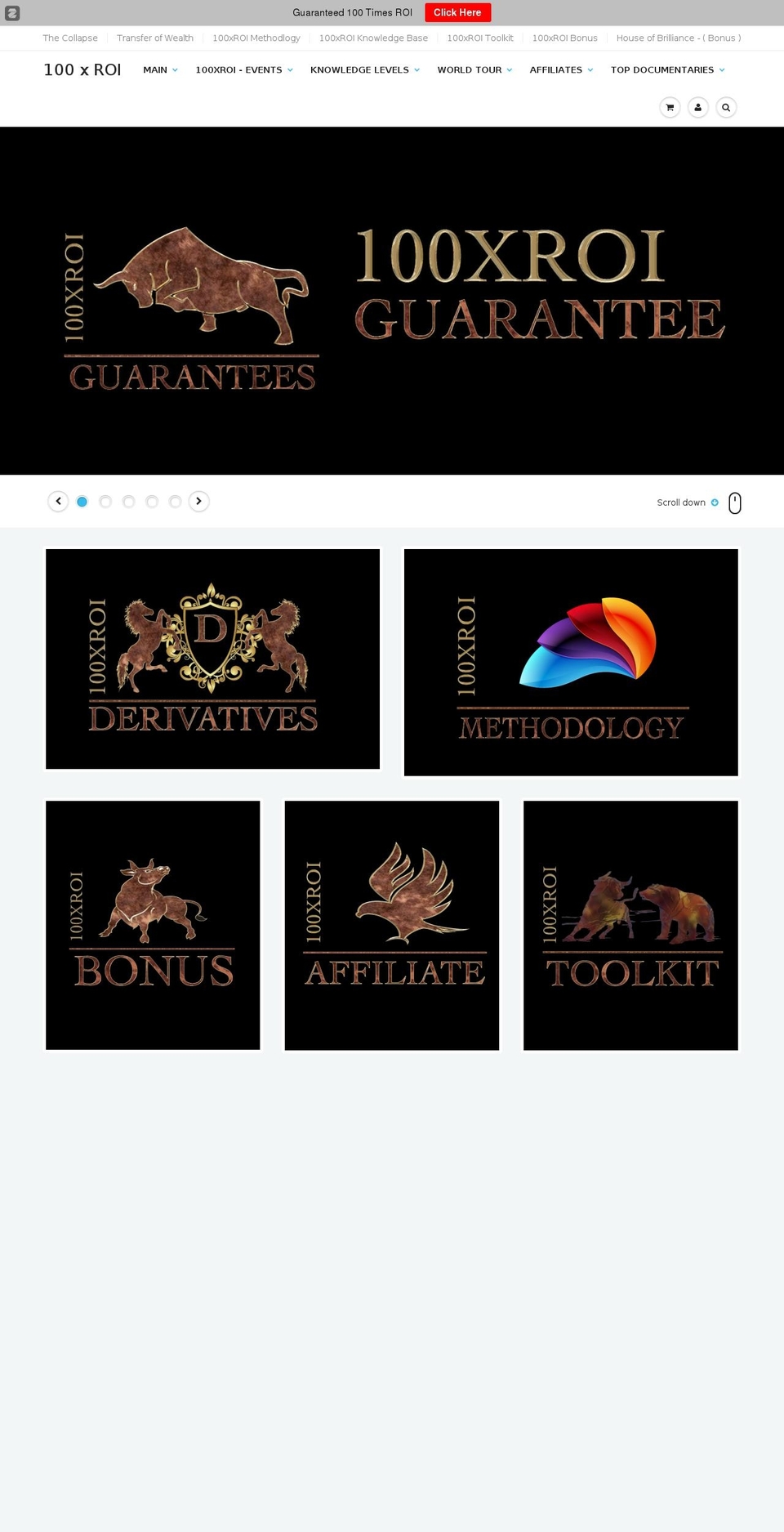 100xroi-shop.com shopify website screenshot