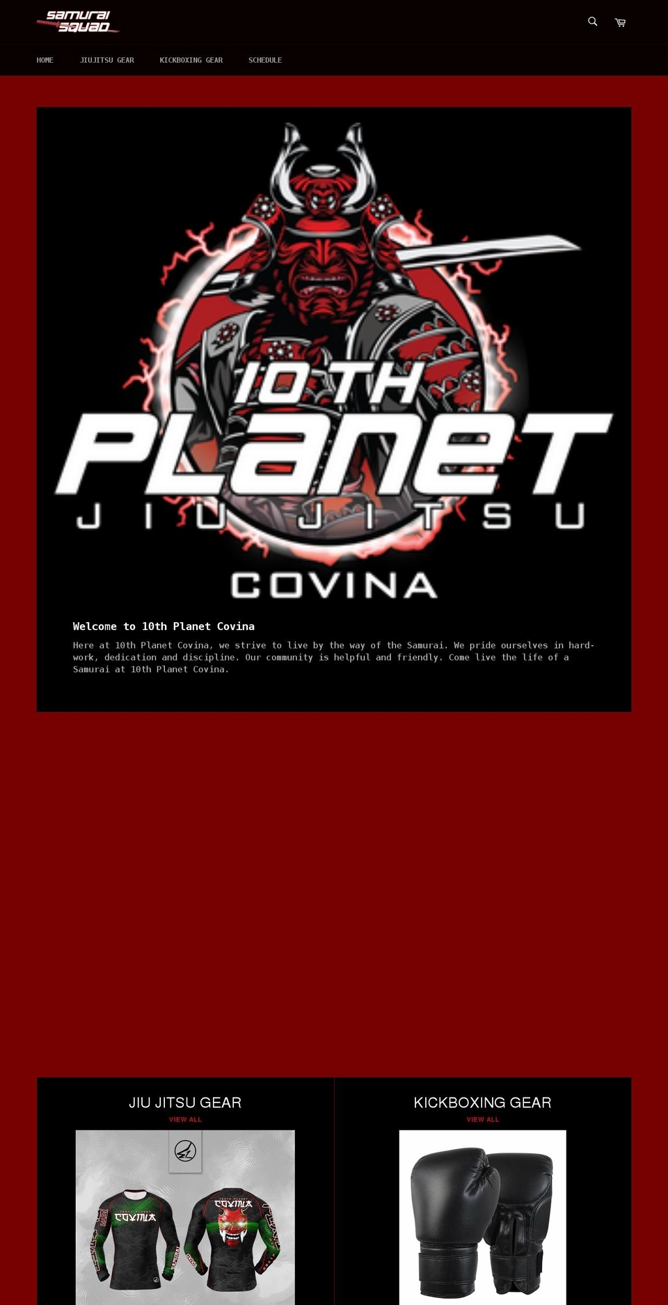 10thplanetcovina.com — Shopify storefront screenshot