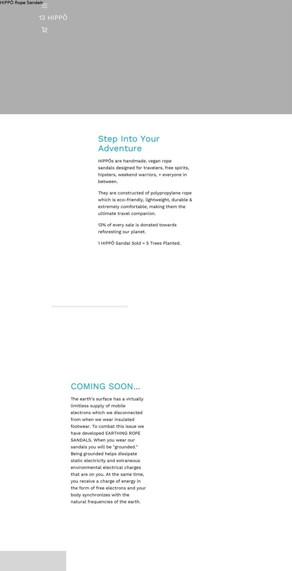 13hippo.com — Shopify storefront screenshot