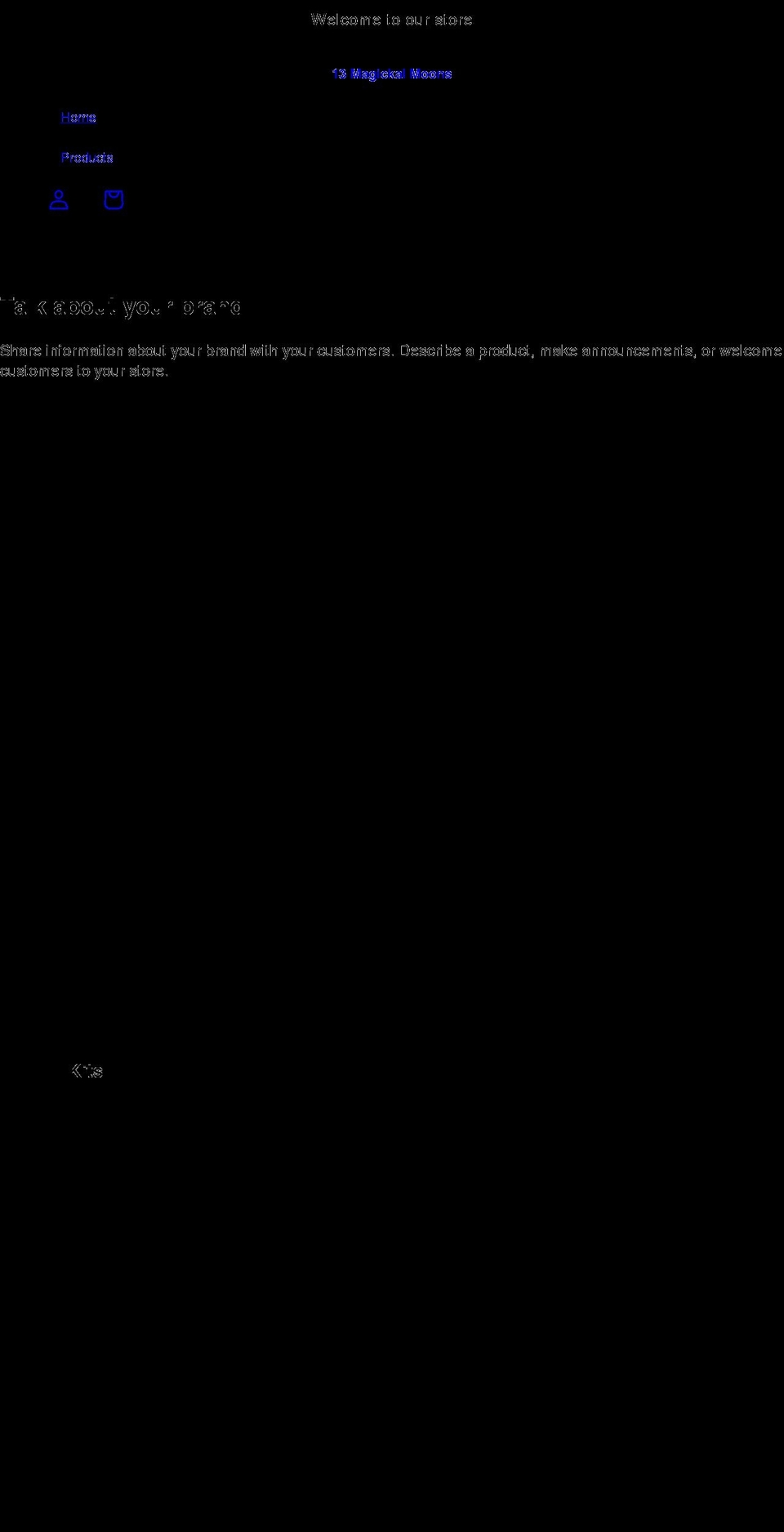 13mmshop.com shopify website screenshot