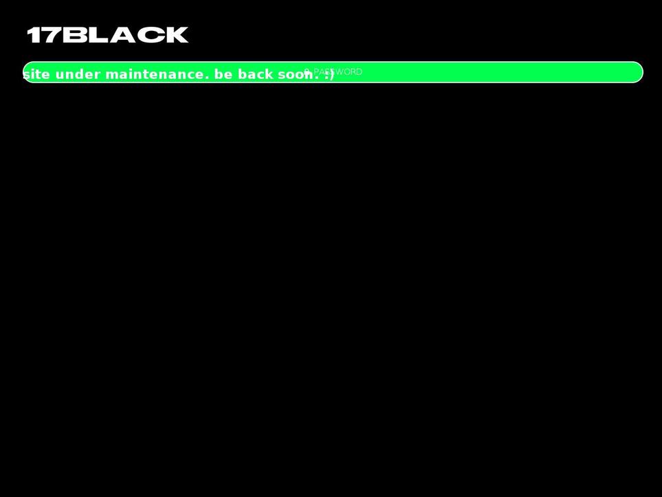 17blackusa.com shopify website screenshot