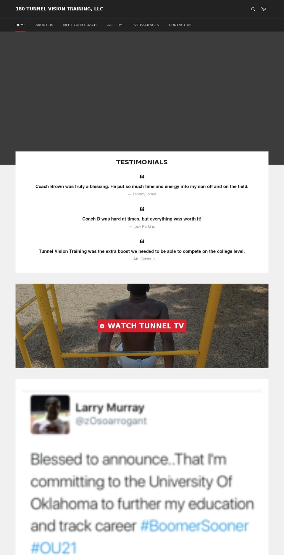 180tvt.com — Shopify storefront screenshot