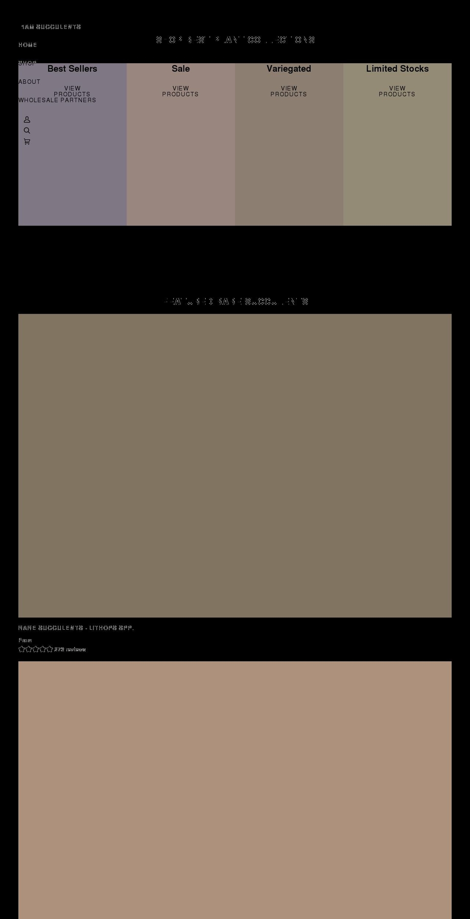 1amsucculents.com shopify website screenshot