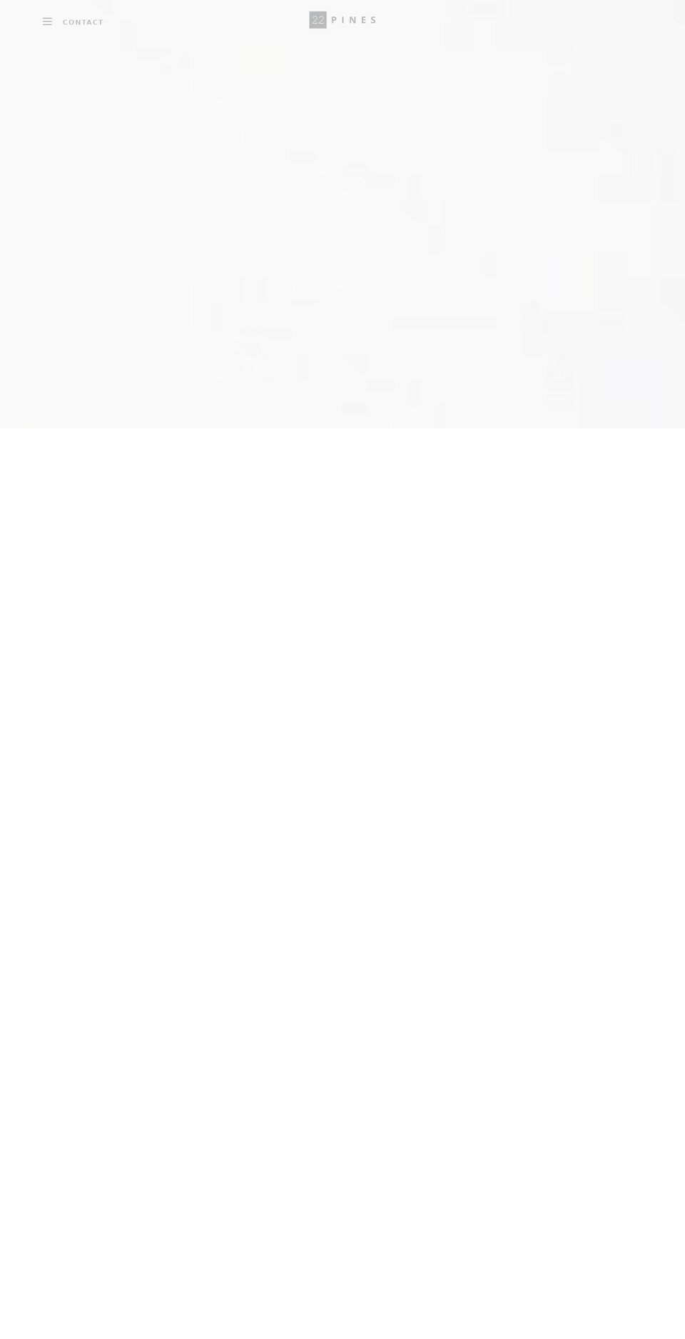 22pines.com shopify website screenshot