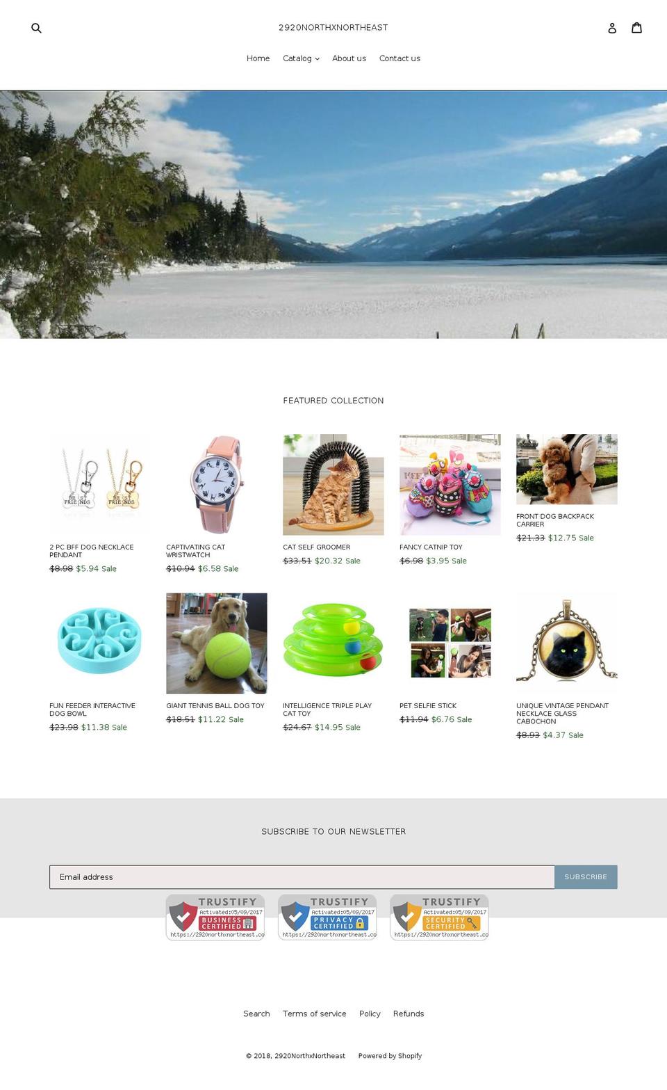 2920northxnortheast.com shopify website screenshot