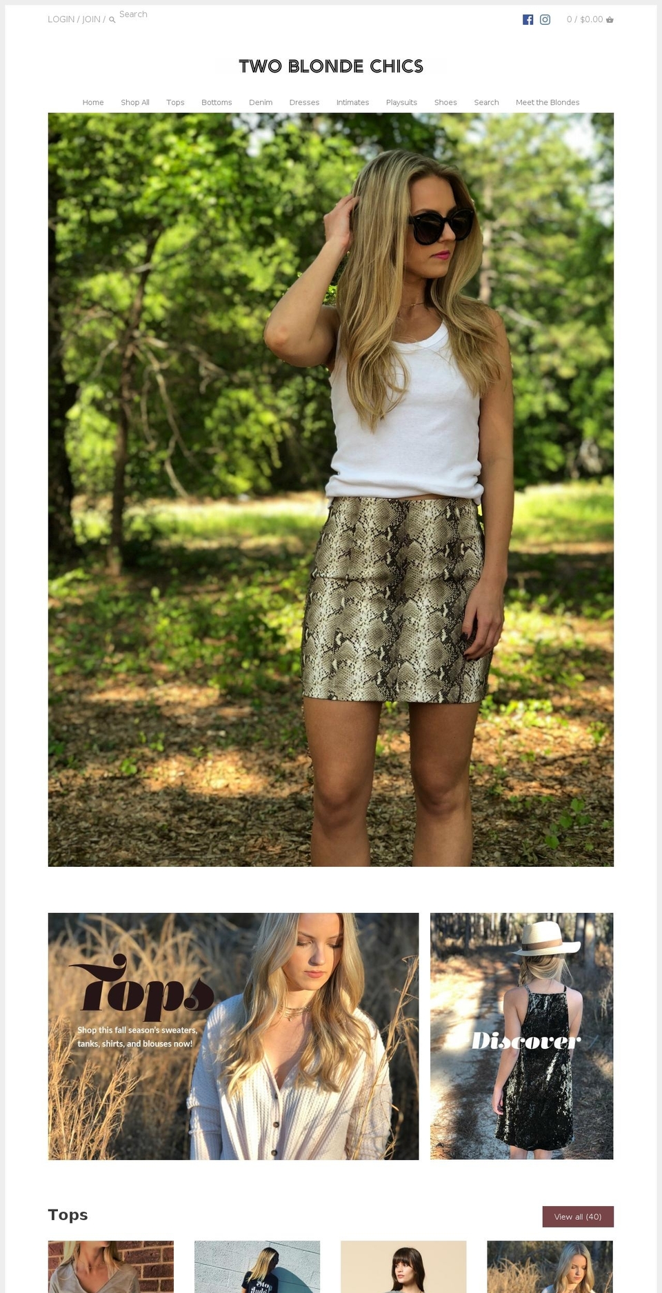 2blondechics.com — Shopify storefront screenshot