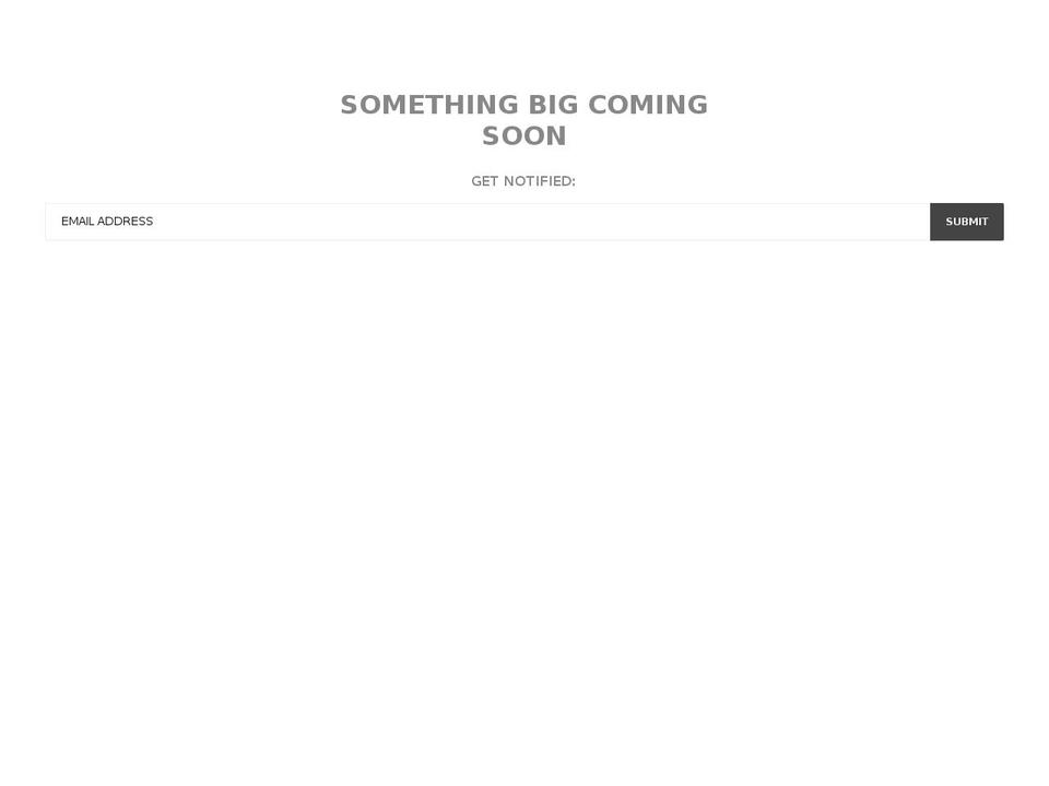 2chainzshop.com shopify website screenshot