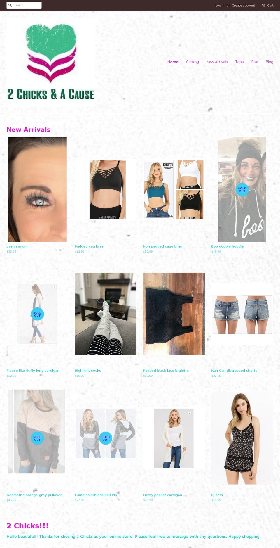 2chicksandacause.com shopify website screenshot