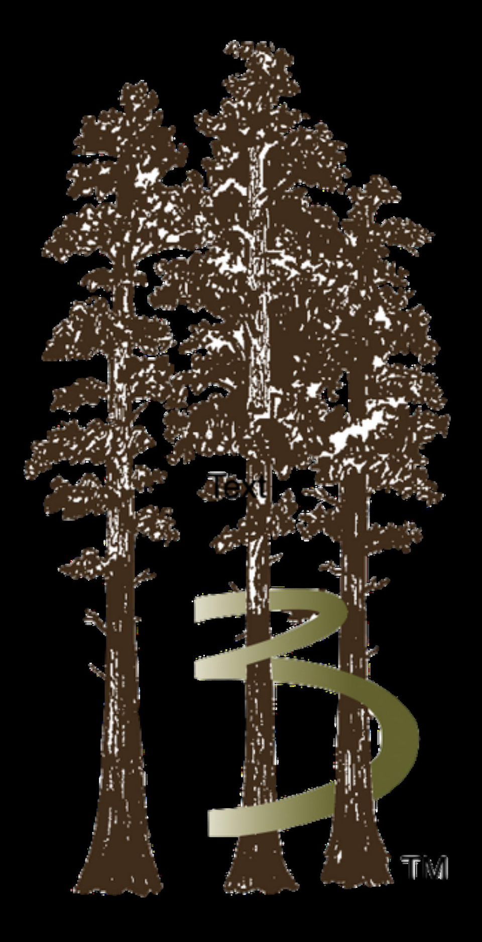 3-products.com shopify website screenshot