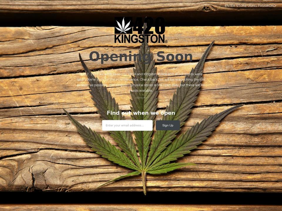 420kingston.com shopify website screenshot