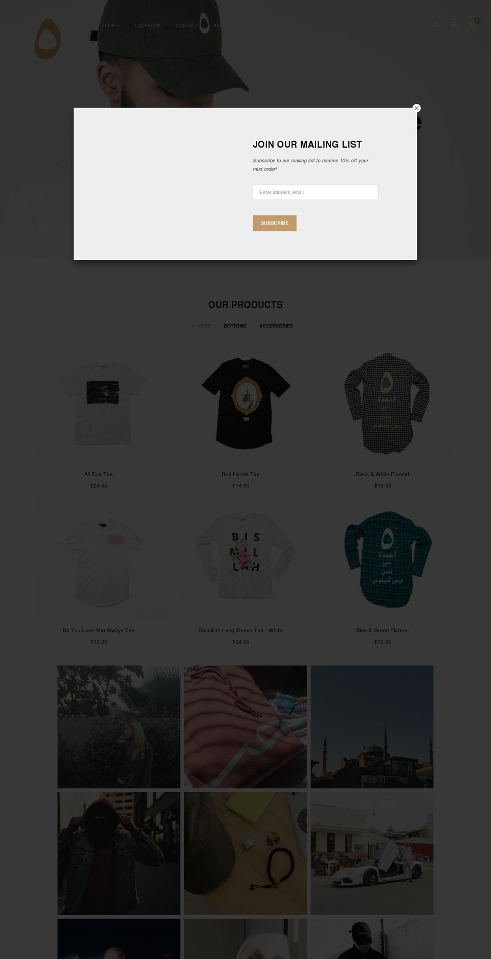 5ivepillarsonline.com shopify website screenshot