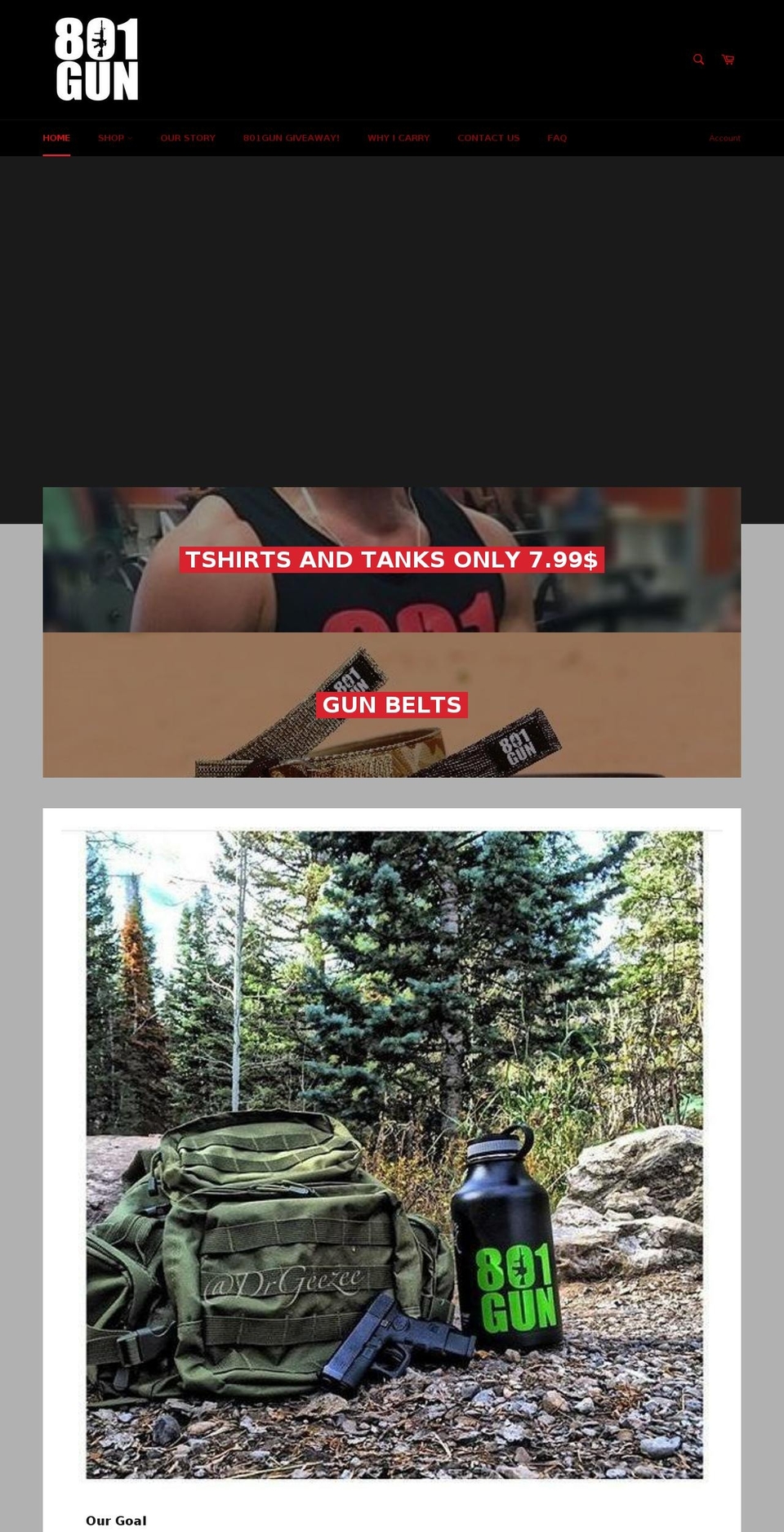 801gun.com — Shopify storefront screenshot