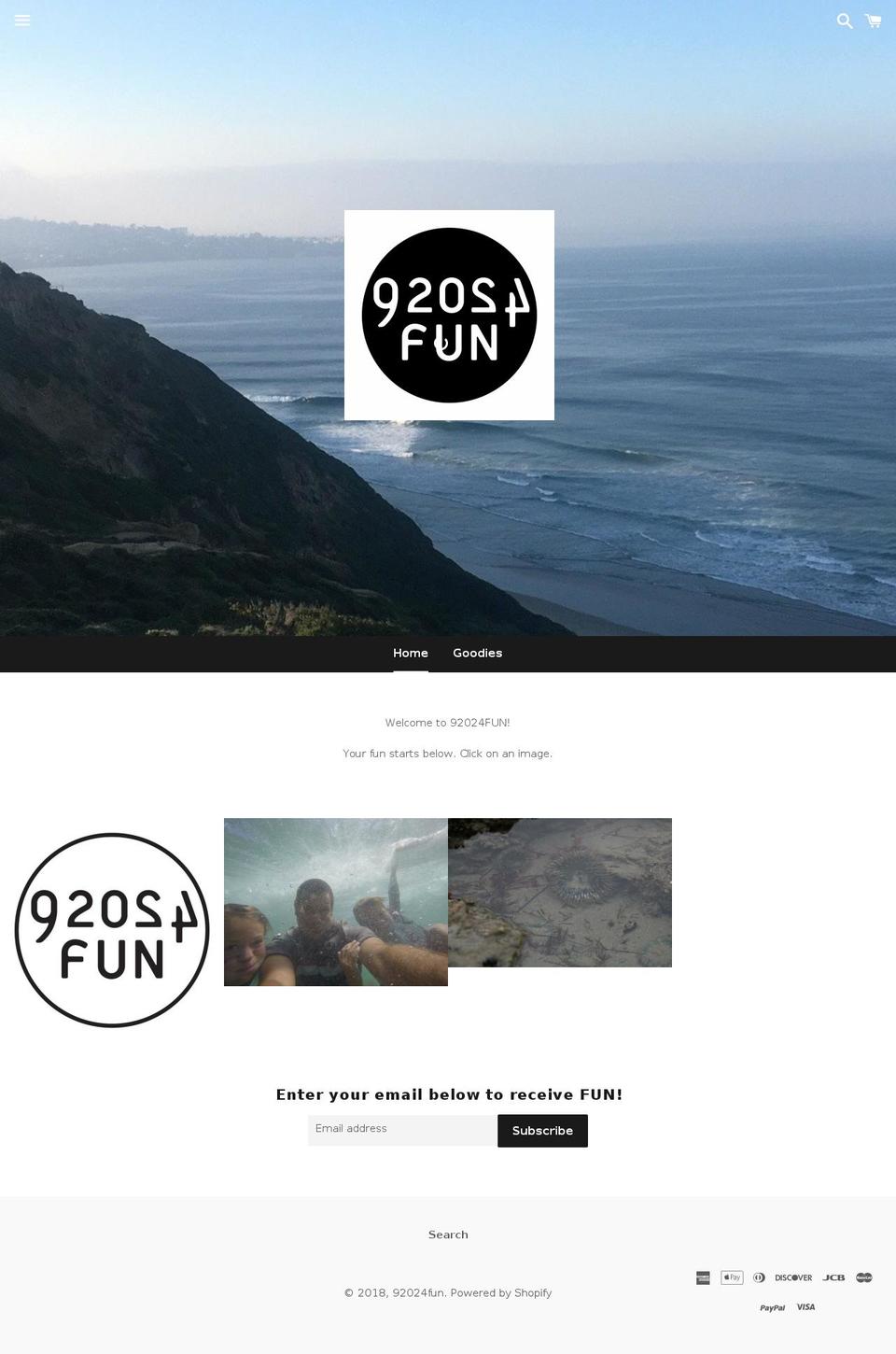 92024fun.com — Shopify storefront screenshot