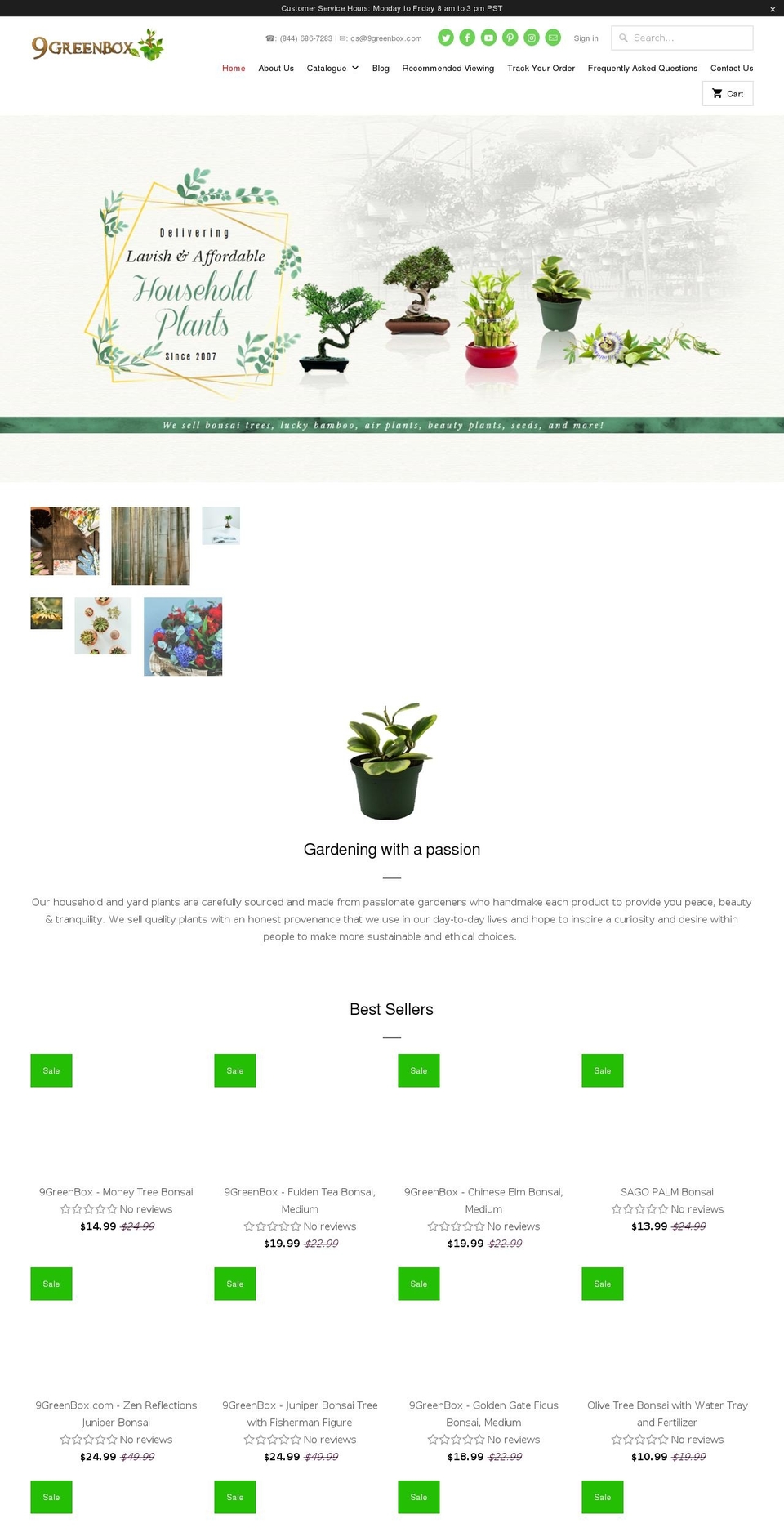 9greenbox.com shopify website screenshot