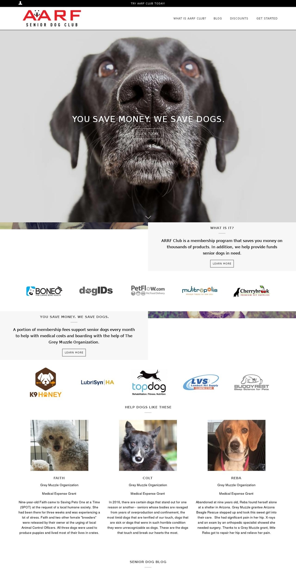 aarfclub.com — Shopify storefront screenshot