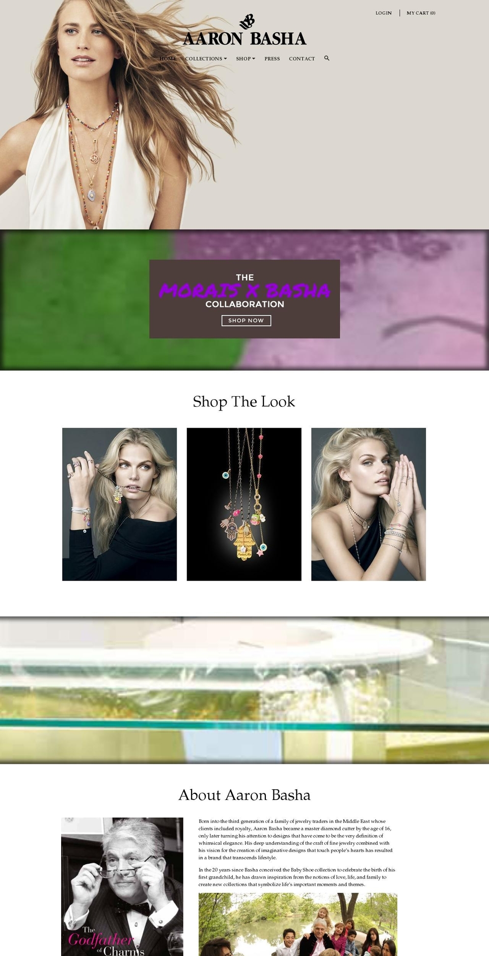 aaronbasha.com.mx shopify website screenshot