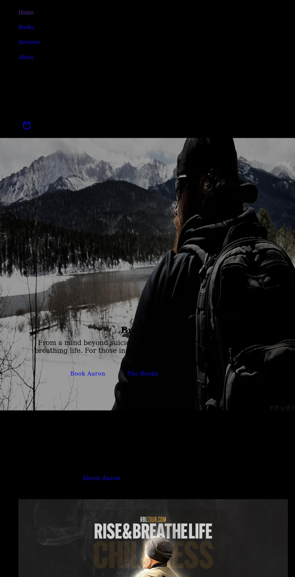 aaronchildress.com shopify website screenshot