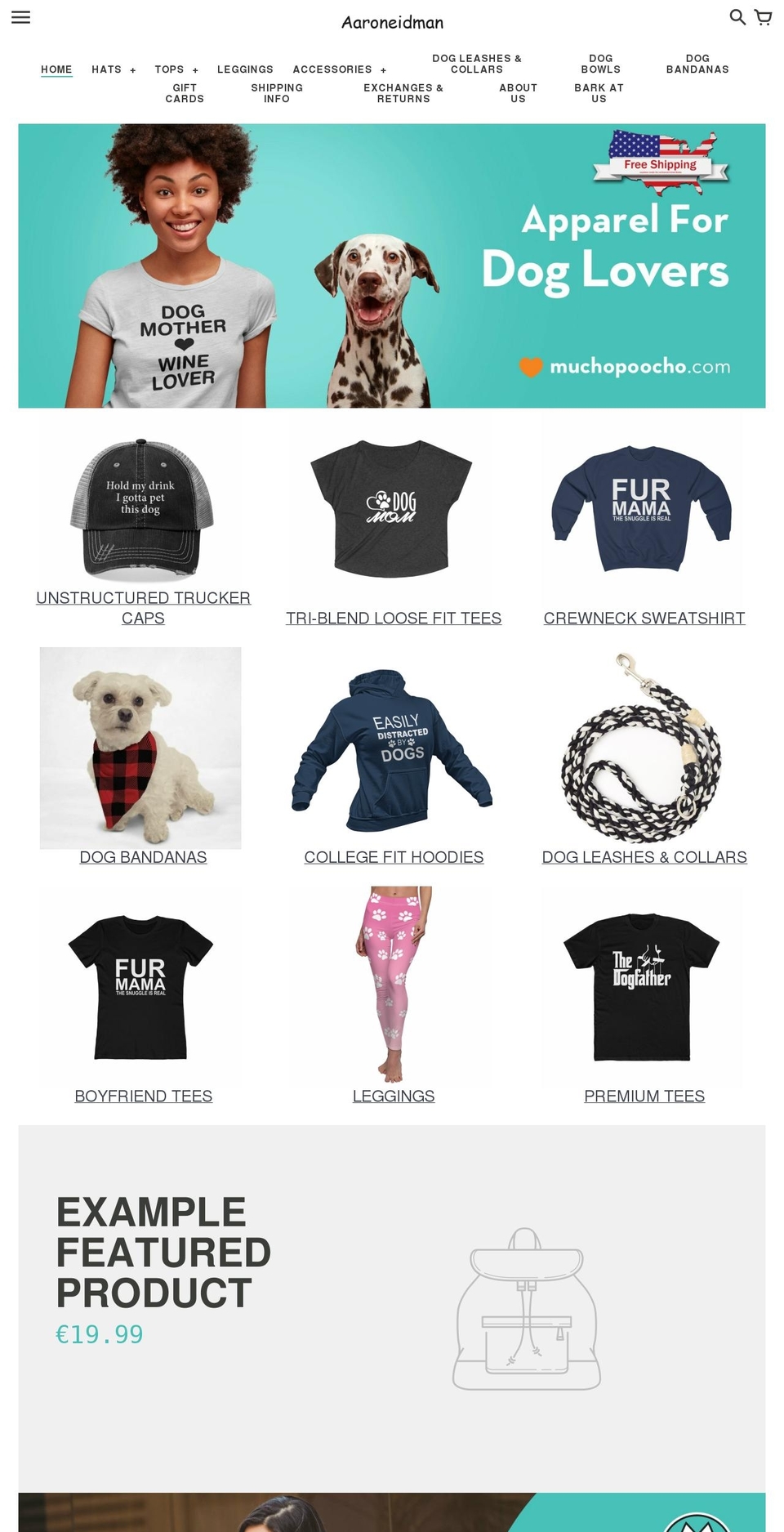 aaroneidman.com shopify website screenshot