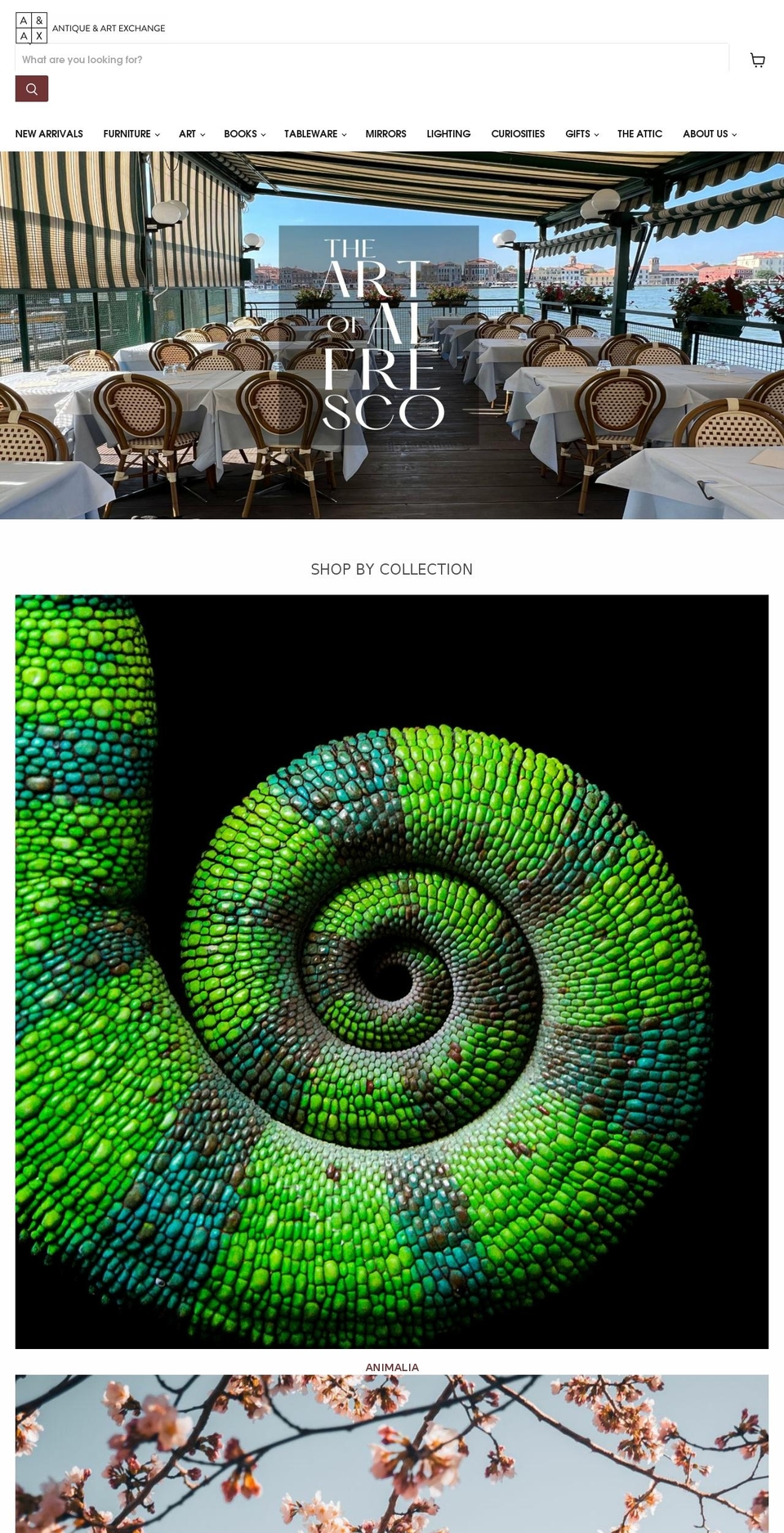 aaxsf.com shopify website screenshot