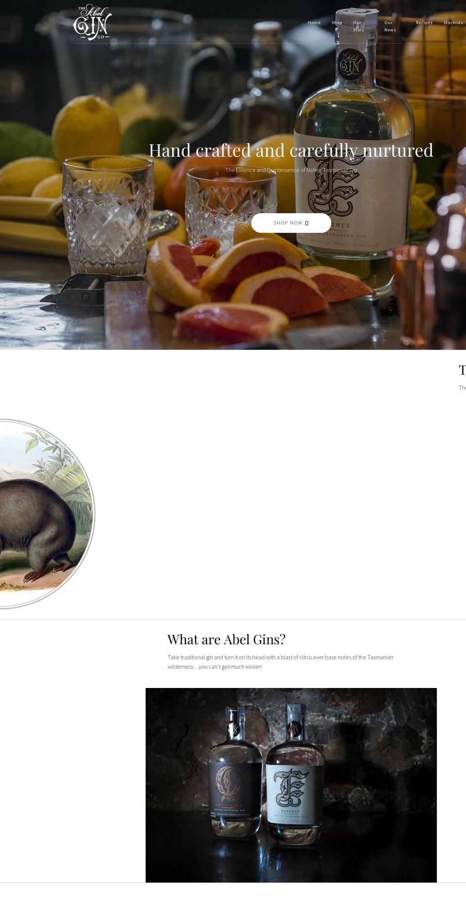 abelgin.com.au shopify website screenshot