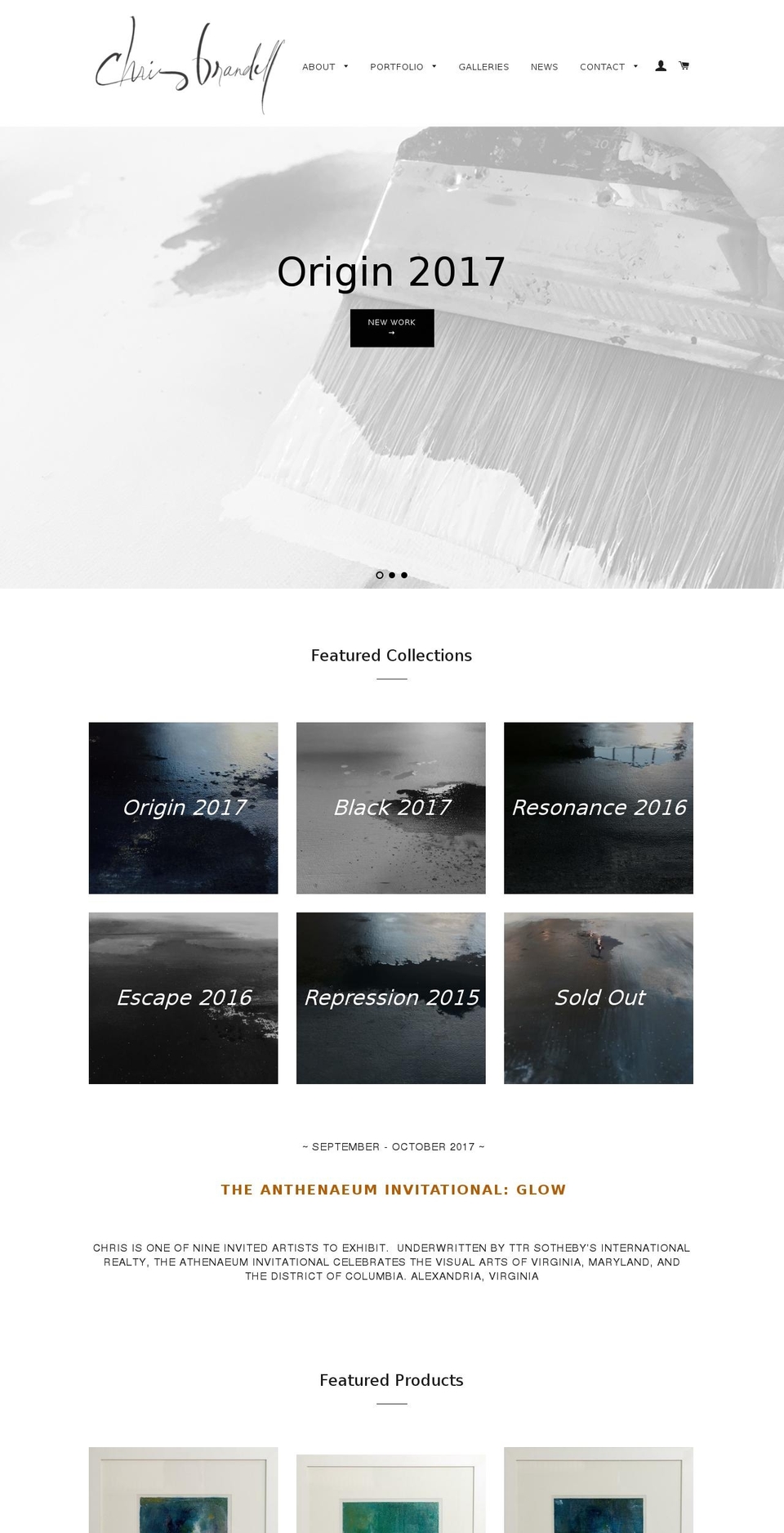 abstractpaintervirginia.com shopify website screenshot