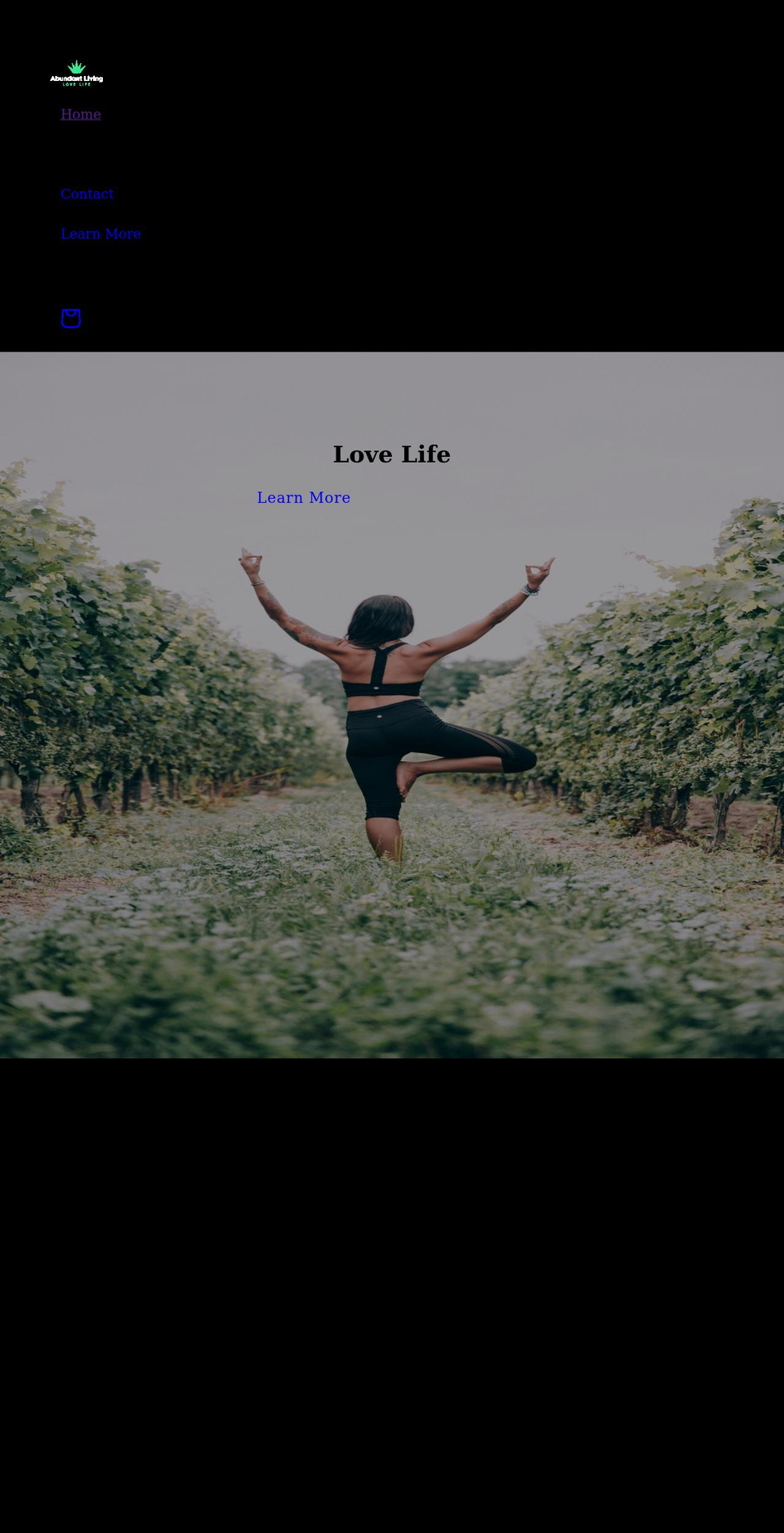 abundantliving.net shopify website screenshot