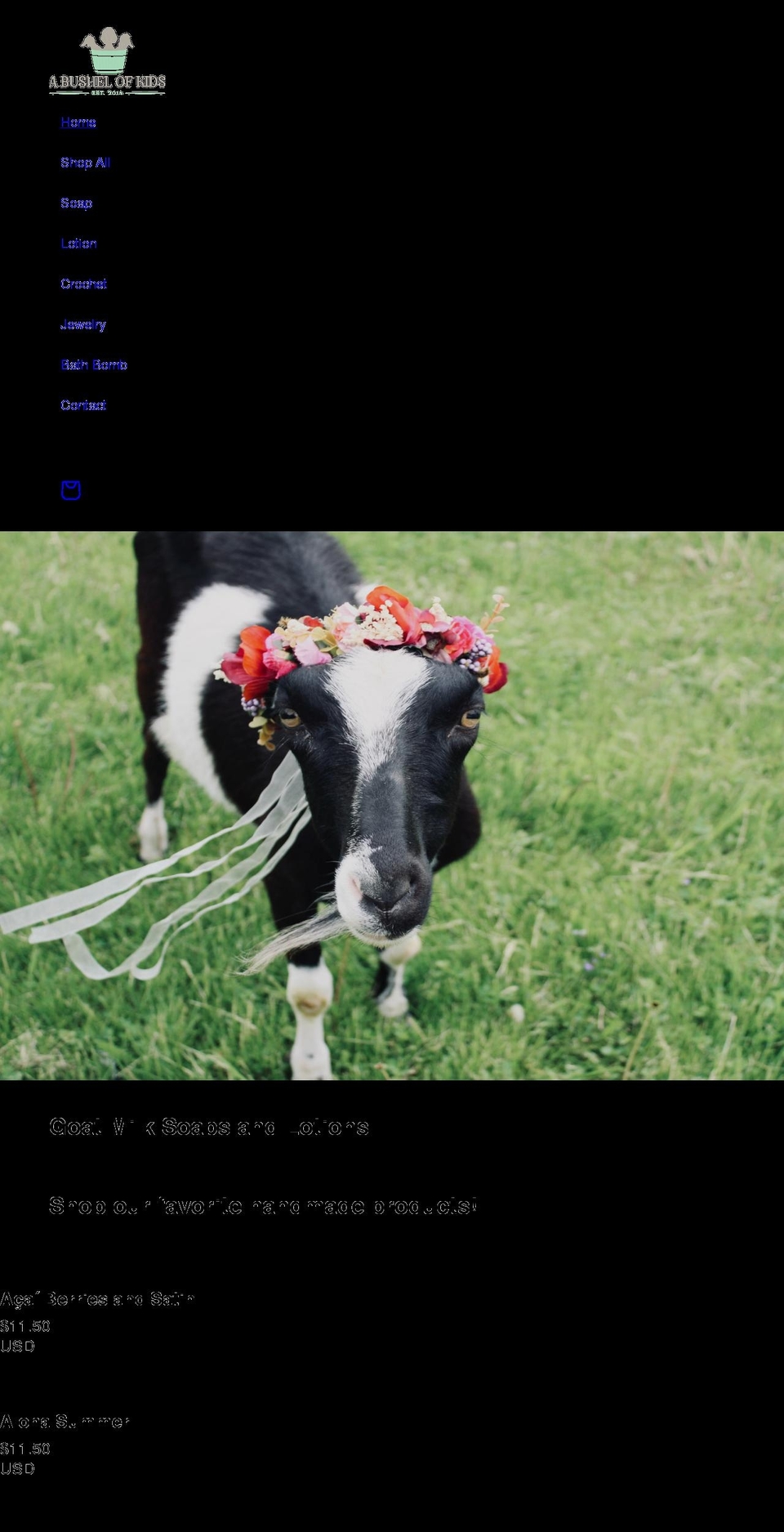 abushelofkids.com shopify website screenshot