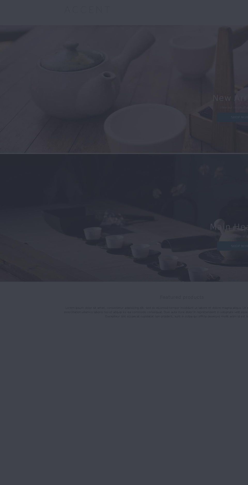 accent-theme-1.myshopify.com shopify website screenshot