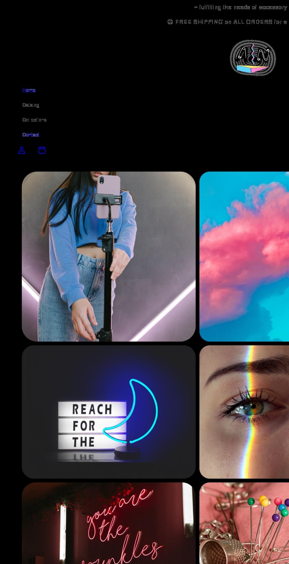 accessorynecessities.com shopify website screenshot