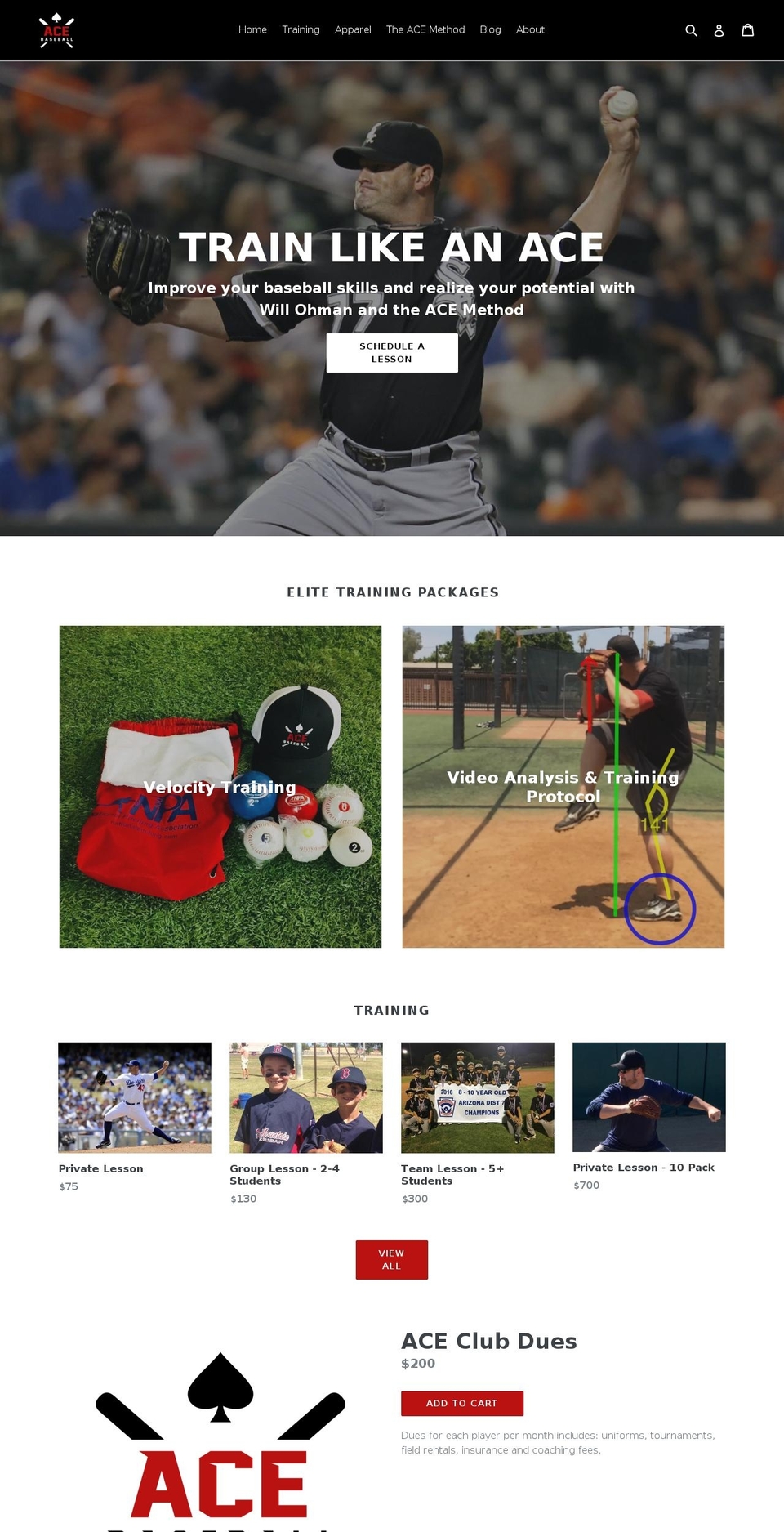 acebaseball.net shopify website screenshot