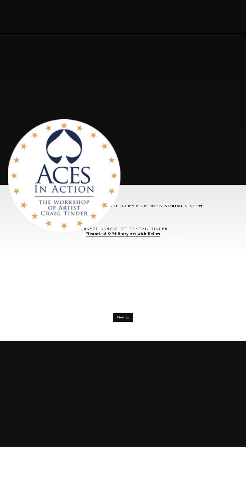 acesinaction.com shopify website screenshot