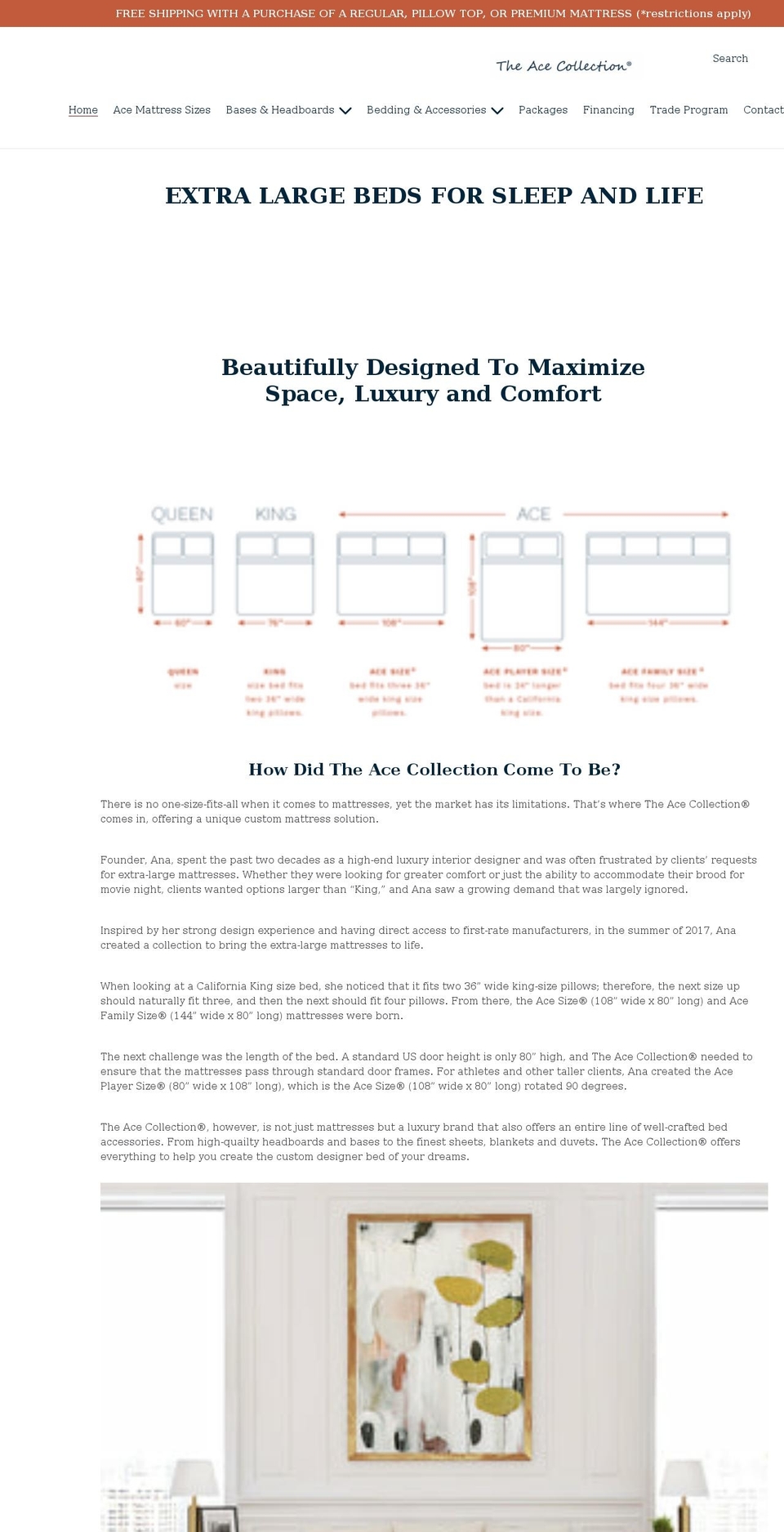 Live Site -- Shopify theme site example acesize.com