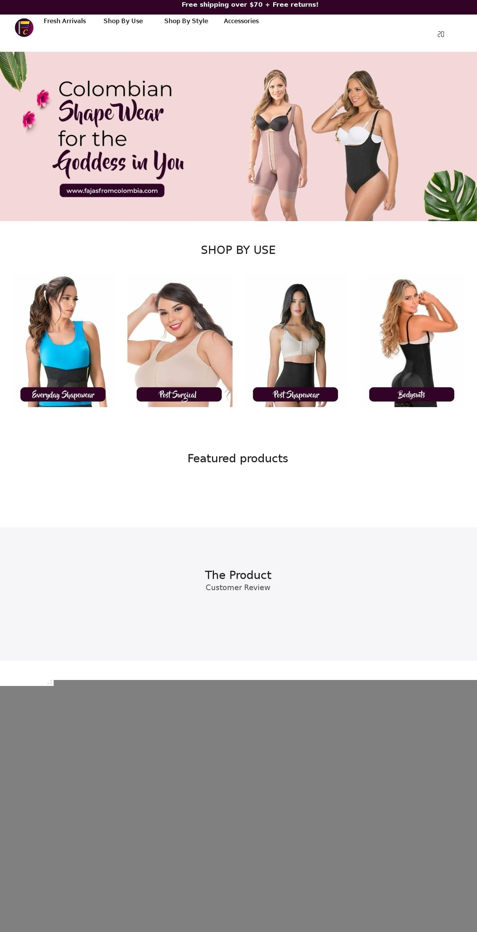actioncamerapros.com — Shopify storefront screenshot
