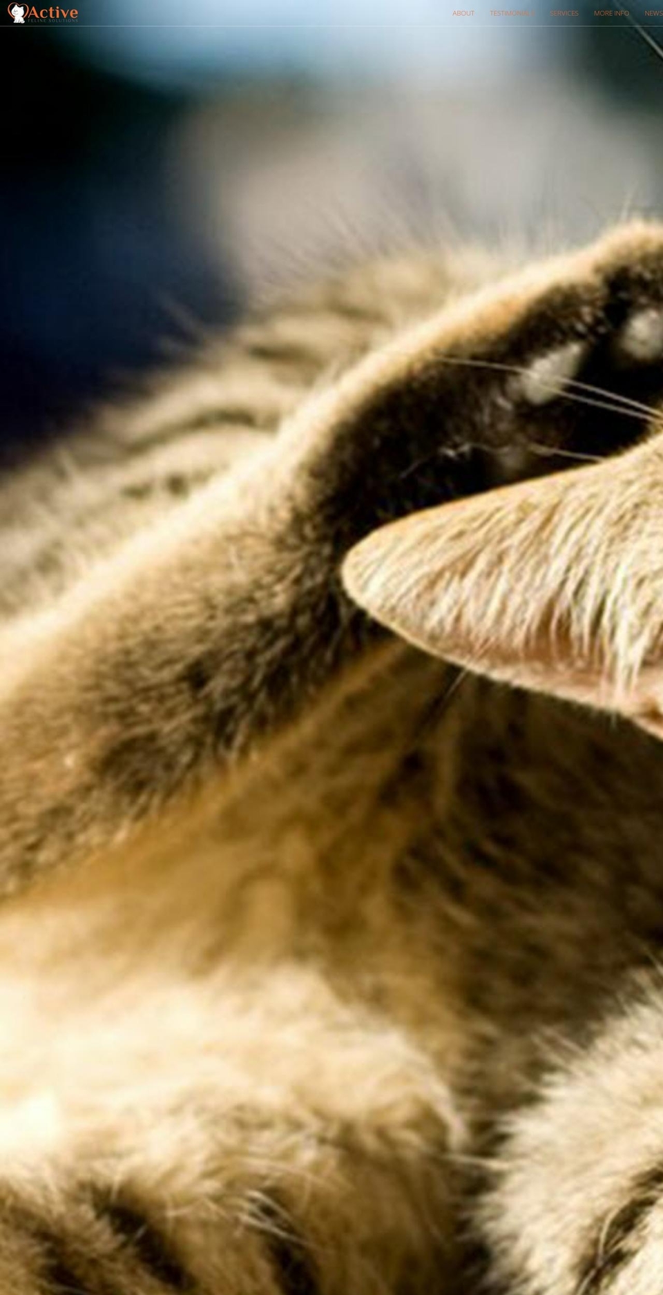 activefelinesolutions.com.au shopify website screenshot
