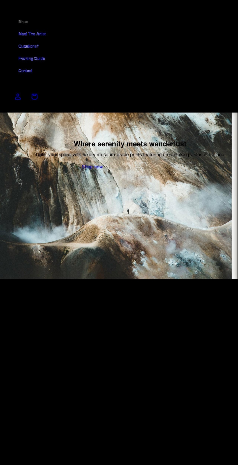 adambiernatstudio.com shopify website screenshot