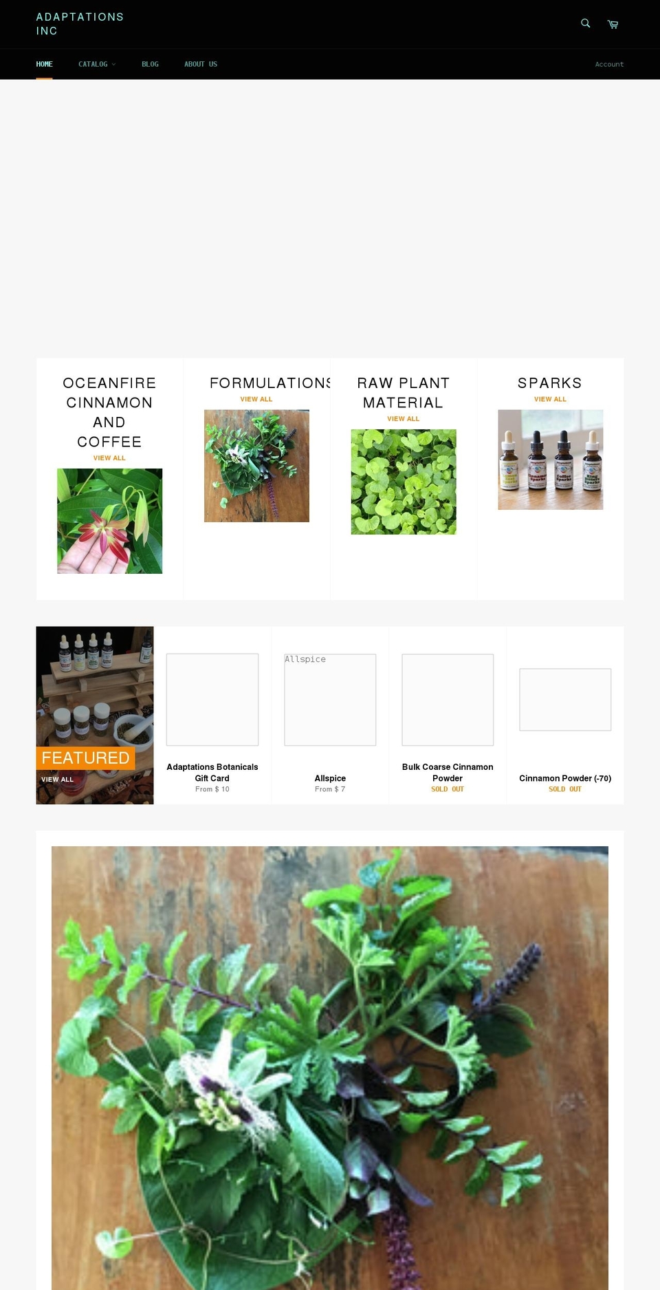 adaptationshi.com shopify website screenshot