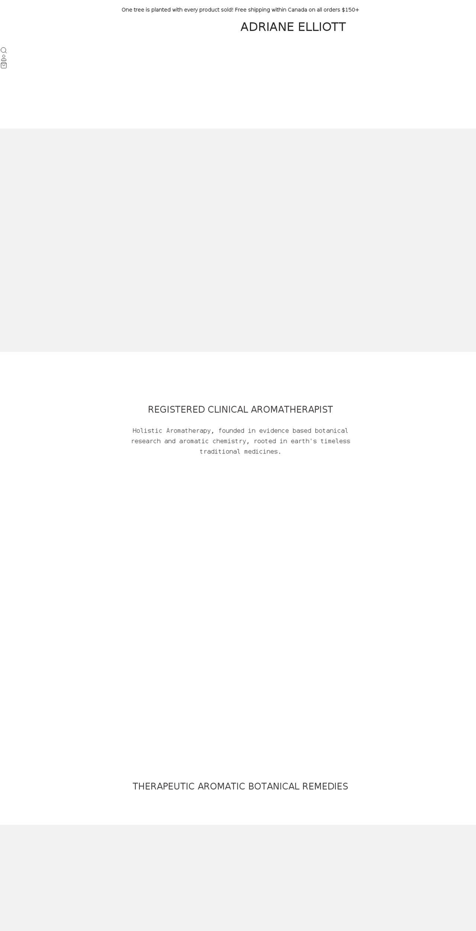 adrianeelliott.com shopify website screenshot