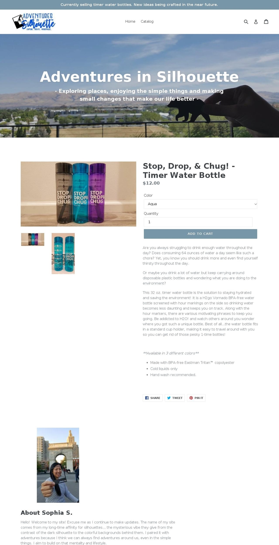 adventuresinsilhouette.com — Shopify storefront screenshot