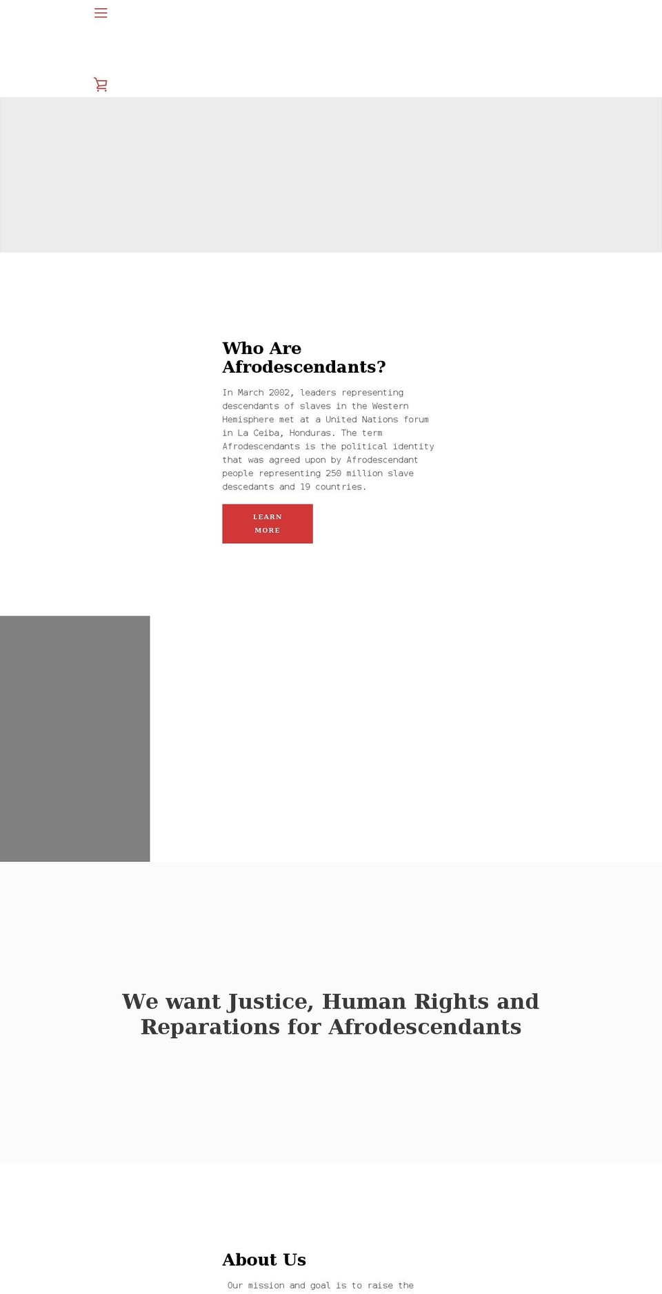 adynglobal.com shopify website screenshot