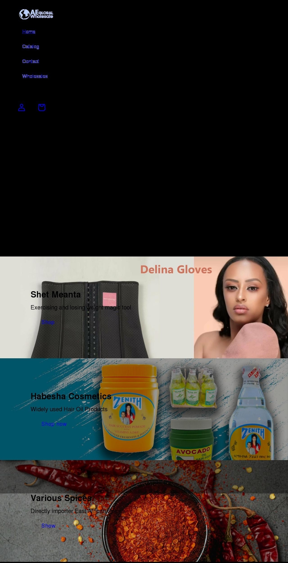 aeglobalwholesale.com shopify website screenshot