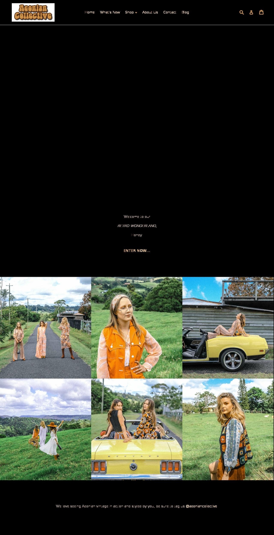 aeoniancollective.com.au shopify website screenshot