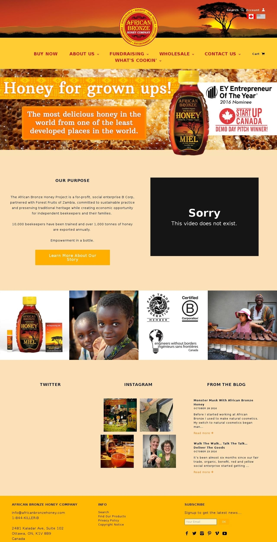 africanbronzehoney.ca shopify website screenshot