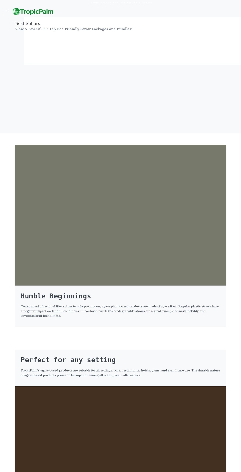 agavetropicpalm.com shopify website screenshot