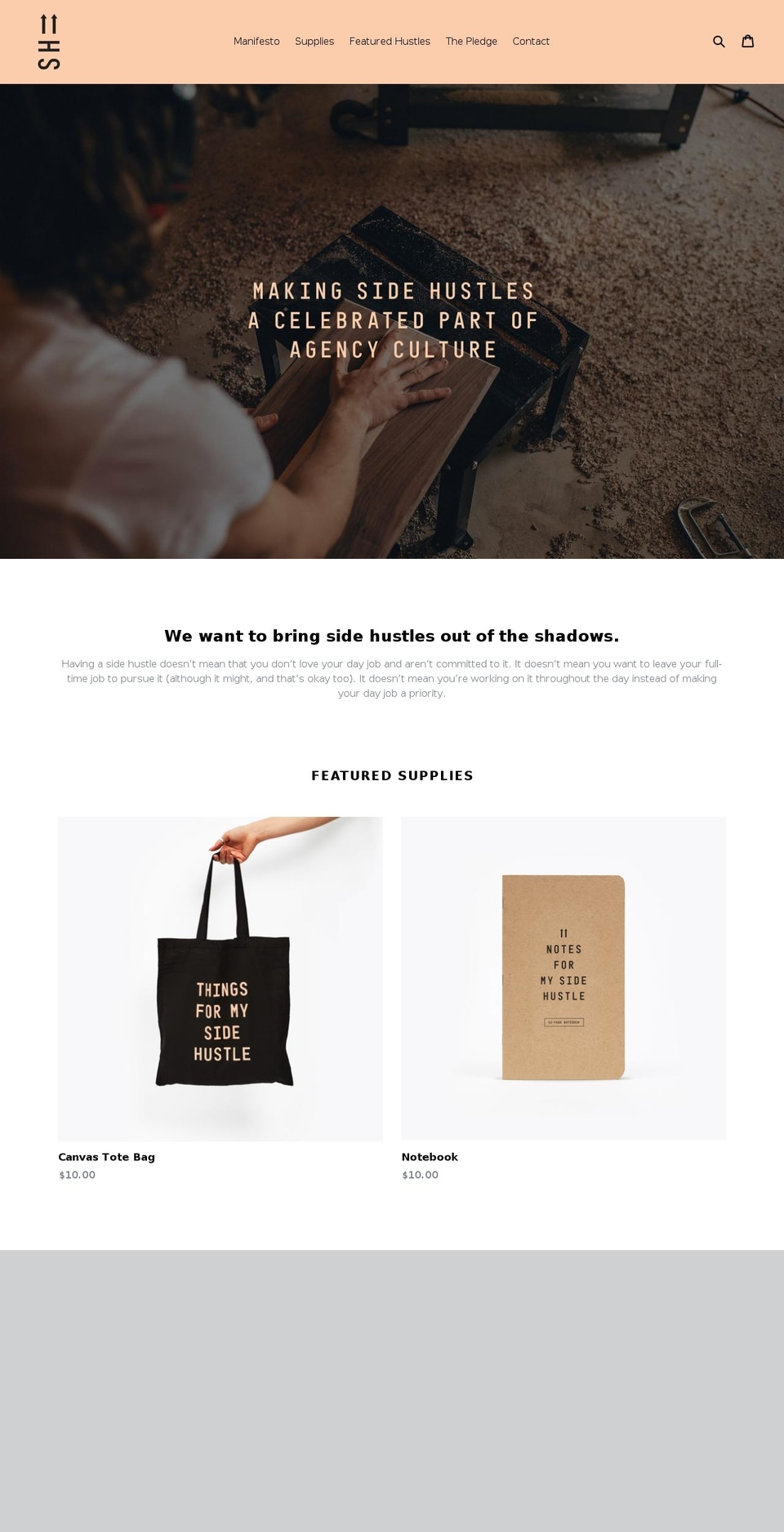 agencysidehustle.com — Shopify storefront screenshot