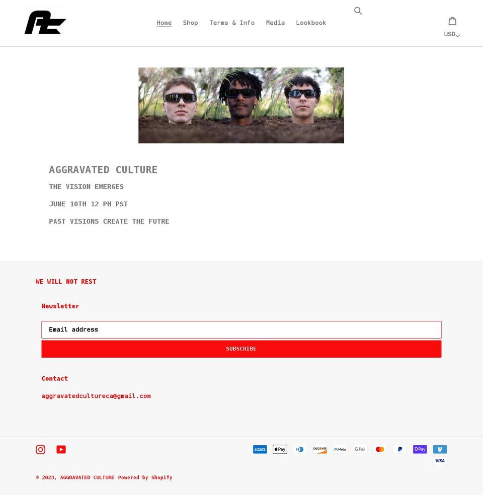 aggravatedculture.com shopify website screenshot