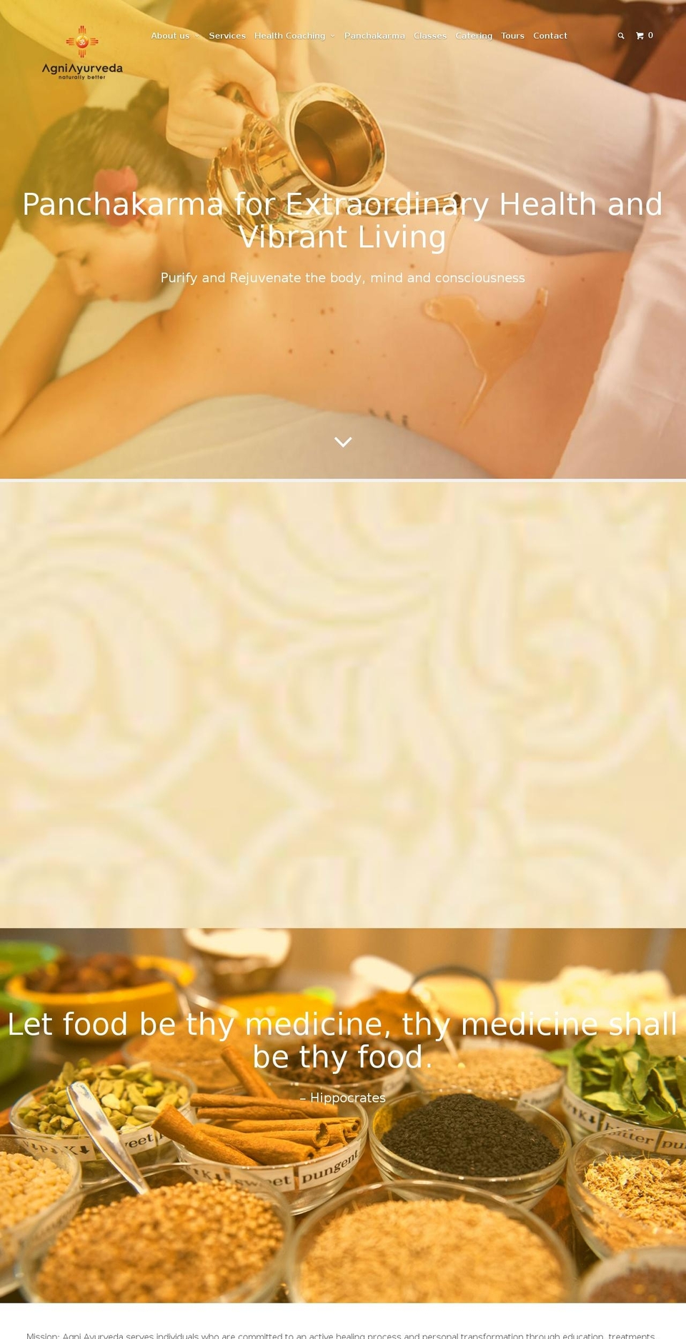 agniayurveda.net shopify website screenshot