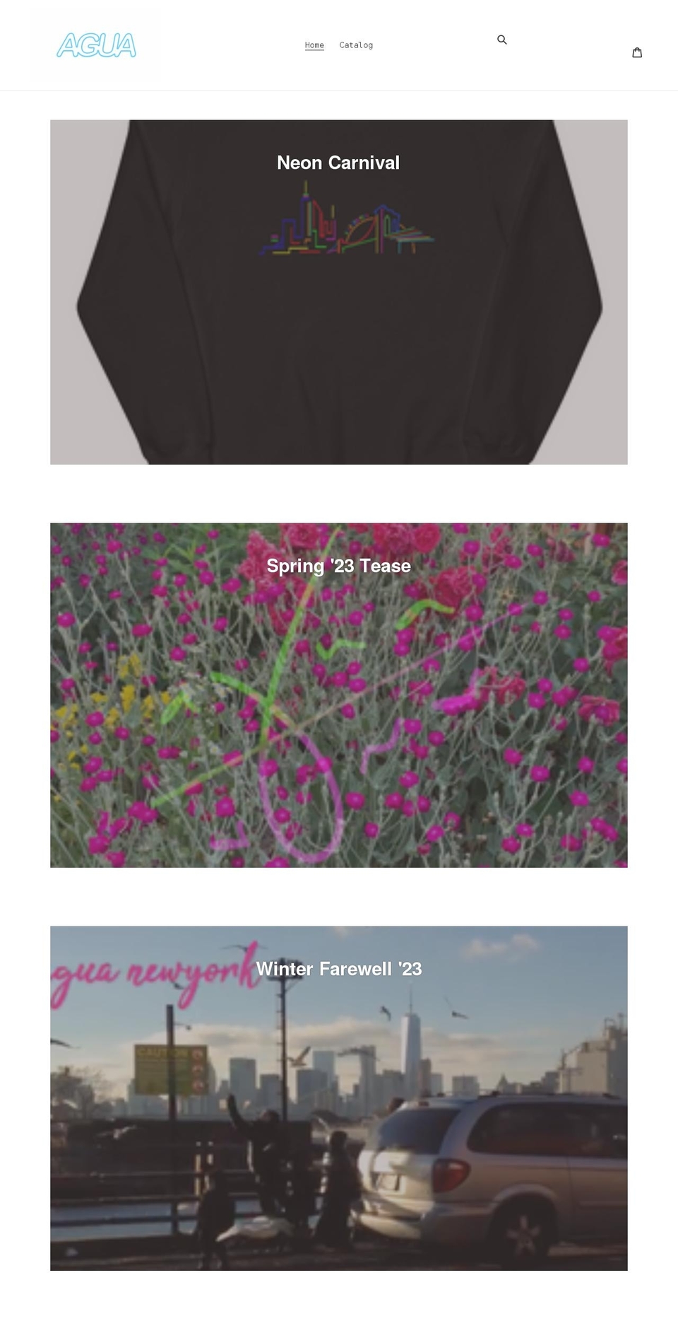aguanewyork.com shopify website screenshot