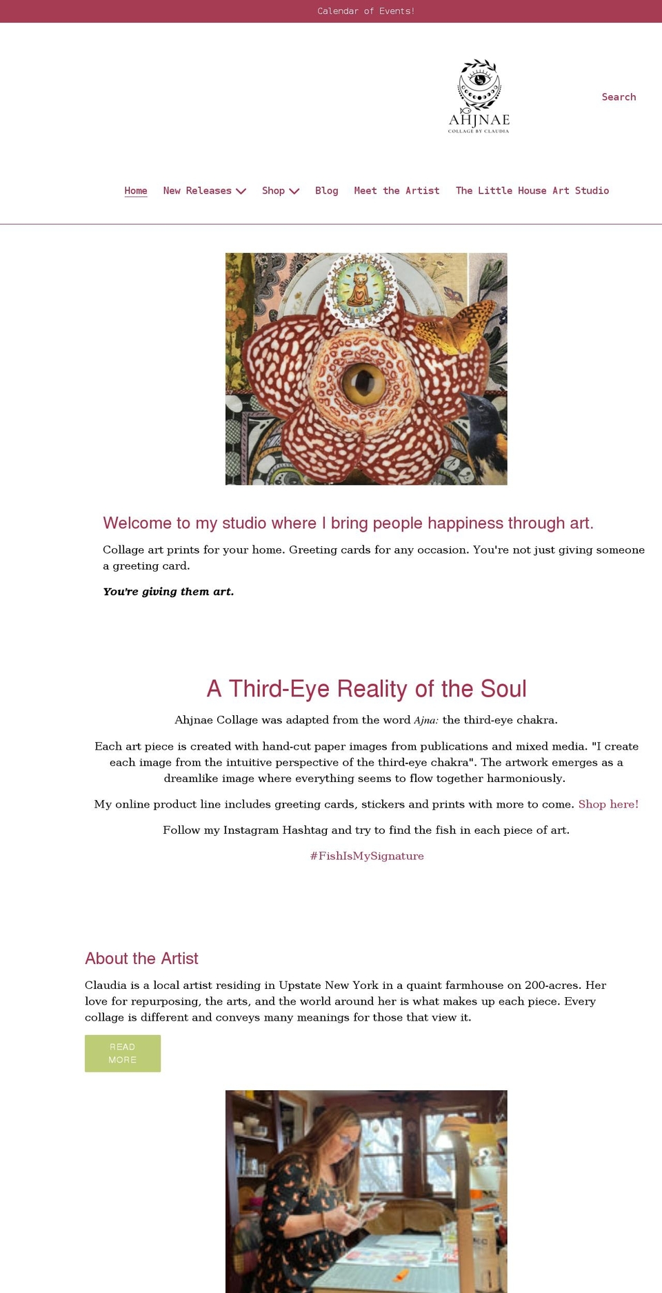 ahjnae.com shopify website screenshot